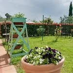 Il Cerro Basic Per Due Pelago